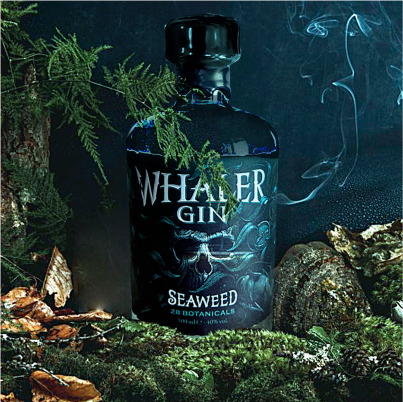 Meet the new Story from Whaler