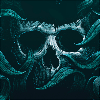 Meet the new Story from Whaler